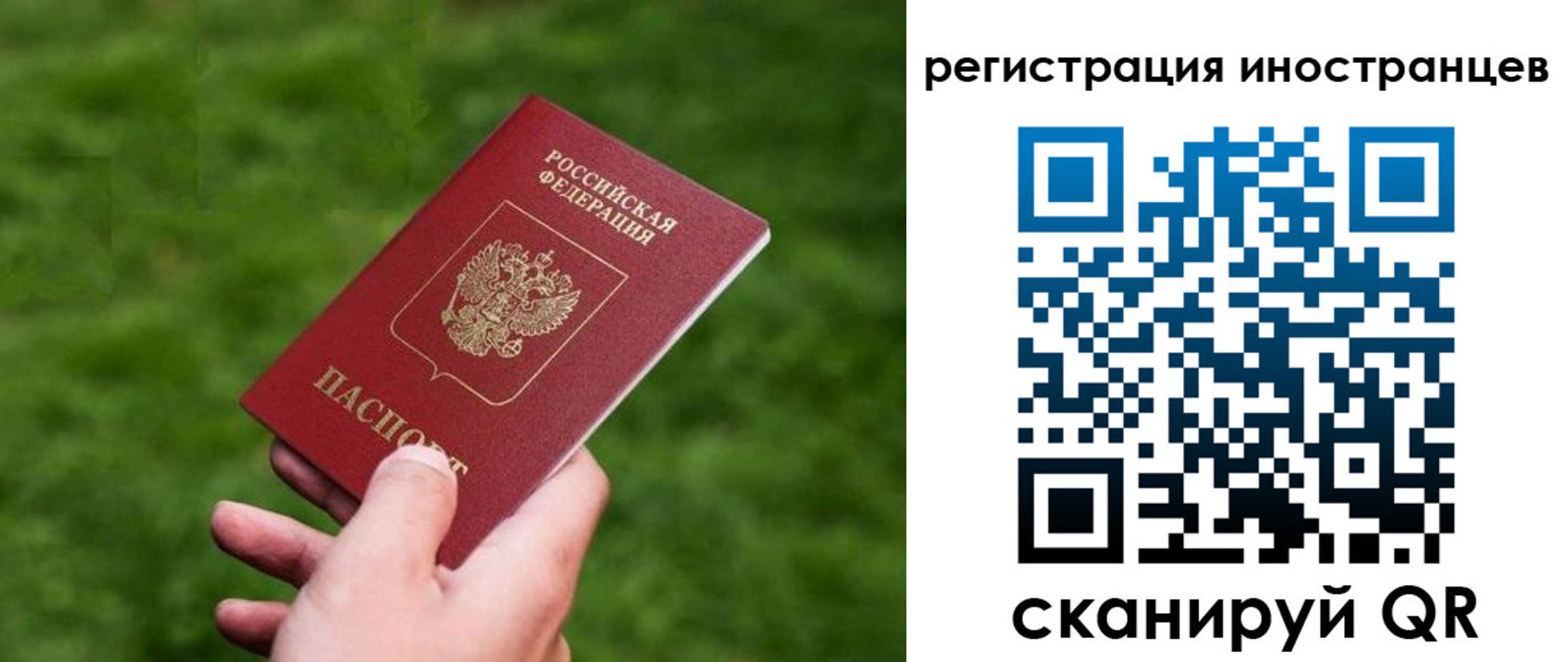 прописка ребенка в Камешково